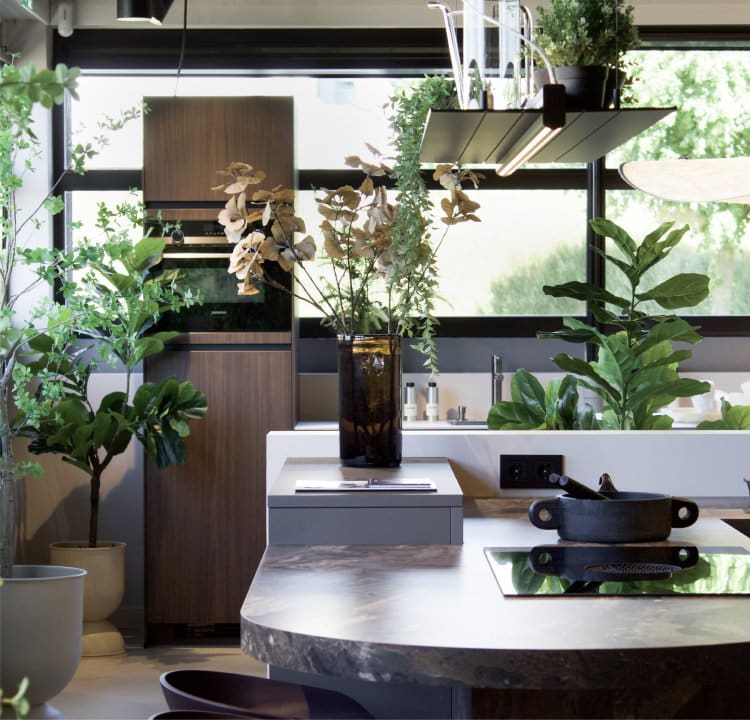 Grote keukenplanten reduceren geluidslawaai in de keuken - Mid Century Modern keuken